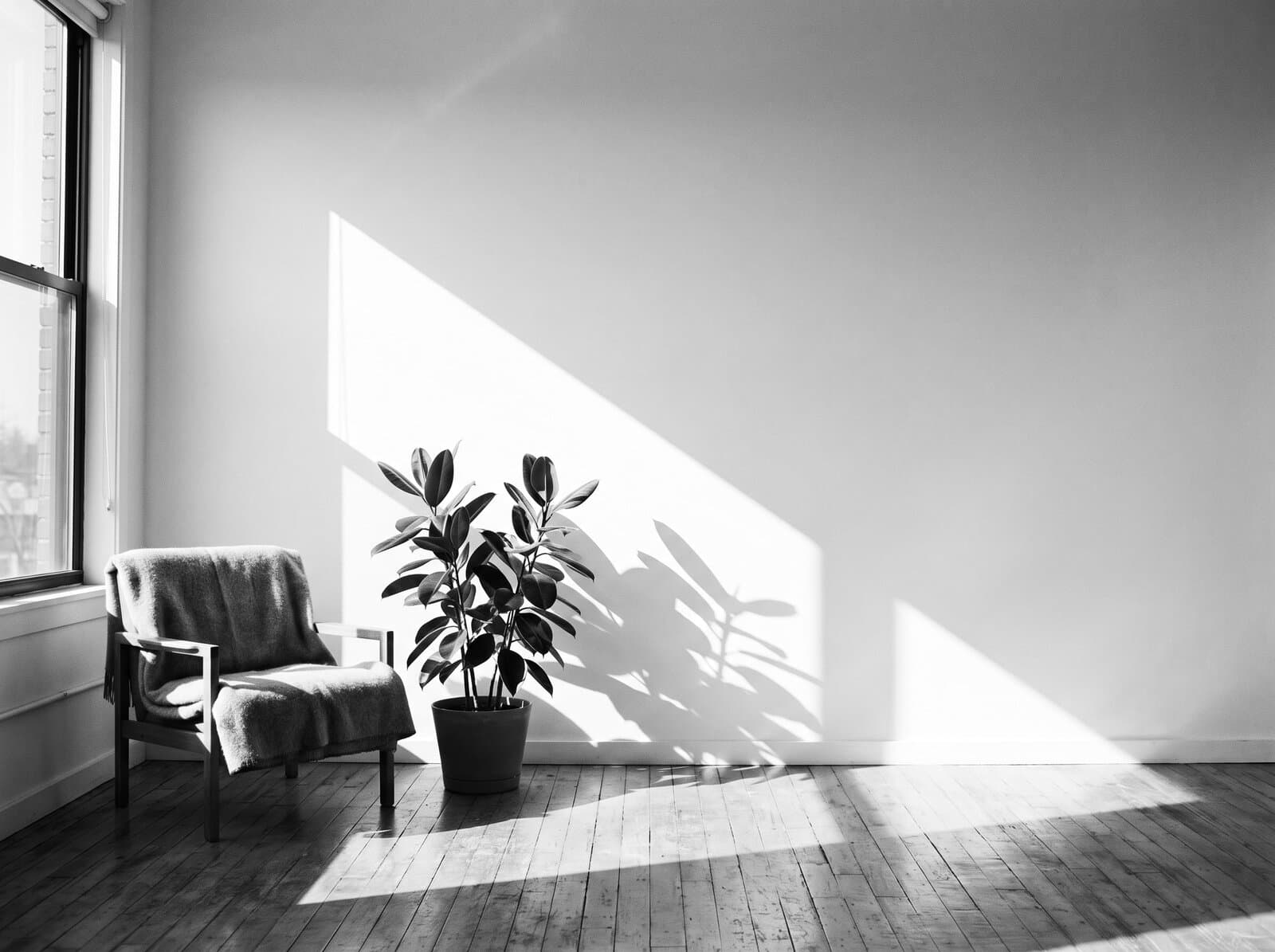 Heller Wohnraum mit Sessel, Wolldecke und Pflanze, Fensterlicht fällt schräg auf die Wand